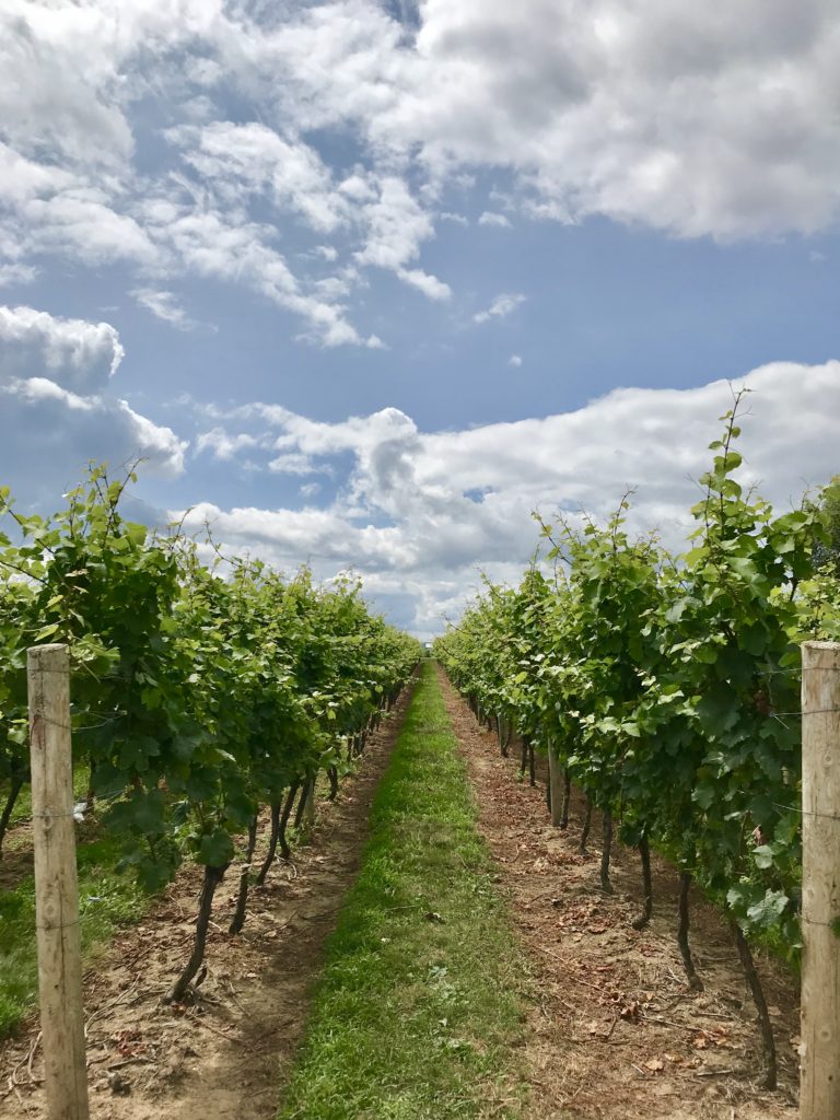 What to Do in Niagara-on-the-Lake - Trips to Uncover