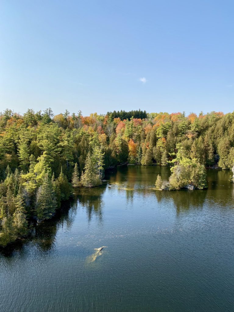 A Guide to Rockwood Conservation Area, Ontario - Trips to Uncover